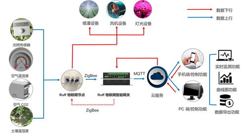 可視化農(nóng)業(yè)軟件開發(fā) 創(chuàng)新技術與應用前景